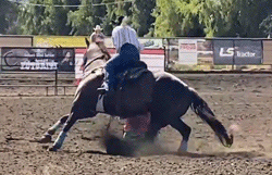 Noel Cosca riding Buzz