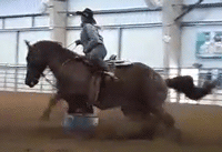 Wood Get The Cash Sitting at the Top of the Standings Futurity WCBRA Jan 30th 2021