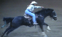 Noel Cosca mare Cashy Driftwood at Odessa Pro Rodeo breeding goes back to Dash For Cash the great race horse