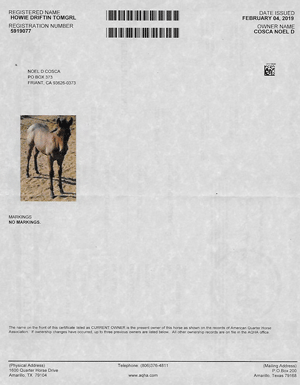 Tom Girls AQHA Registration Papers Back Side