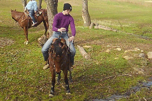 Registered AQHA foal born to Noel Cosca Rodeo Broodmare Cashy Driftwood 2012 filly