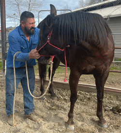 Bubba Kelly doing Chiropractic work on Wood Get the Cash, aka Nugget