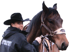 Noel Cosca riding Cashy Driftwood Odessa Texas Sand Hills Pro-Rodeo ended 17th in the Average out of 300 competators