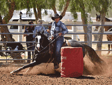 Cruisin For The Cash Noel Cosca riding owner breeder trainer