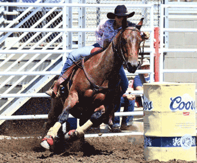 Noel Cosca riding Red Hot Howie at Cliff Hollis Memorial Race in King City placing 2D on the Salinas Track