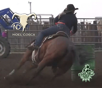 Noel Cosca Sitting at the Top of the ACBRA Year End Standings May 2021