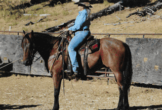 Tom roping at the CT Branding in the Livermore Hills
