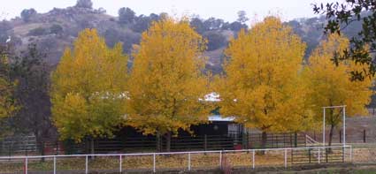 Home Ranch Barn,Ca